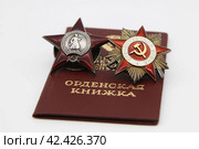 Орден Красной Звезды и Орден Отечественной Войны с Орденской книжкой СССР. Стоковое фото, фотограф Ерохин Дмитрий Викторович / Фотобанк Лори