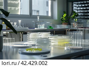 mold, Algae, microalgae in petri dishes research in laboratories. biotechnology, science. Flat lay. Macro. Стоковое AI-изображение, AI-художник Ольга Ильина / Фотобанк Лори