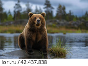 Brown bear against the background of a lake,    Generative AI. Стоковое AI-изображение, AI-художник Анна Кривицкая / Фотобанк Лори