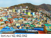 Colorful houses in Gamcheon cultural village, Busan, Korea. Культурная деревня Камчхон, Пусан, Южная Корея (2019 год). Стоковое фото, фотограф Римма Тельнова / Фотобанк Лори