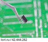 Электронный компонент удерживается в пинцете на фоне печатной платы. Electronic component held with tweezers. Стоковое фото, фотограф Татьяна Д / Фотобанк Лори