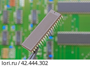 Электронный компонент удерживается в пинцете на фоне печатной платы. Electronic component held with tweezers. Стоковое фото, фотограф Татьяна Д / Фотобанк Лори