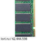 Компьютерные модули оперативной памяти на белом фоне. Computer RAM module on white background. Стоковое фото, фотограф Татьяна Д / Фотобанк Лори