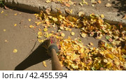 Broomstick sweeps yellow leaves off the road. Autumn cleaning of the territory. First Person Shooting. Стоковое видео, видеограф Дмитрий Кобзев / Фотобанк Лори