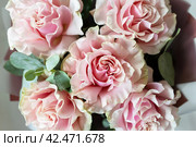 Bouquet of pink roses in a vase on a white background. Стоковое фото, фотограф Андрей Иванов / Фотобанк Лори