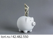 Huge savings in the piggy bank, overflowing with cash. Стоковое фото, фотограф Сергей Толмачёв / Фотобанк Лори