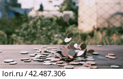 Coins fall close-up on a wooden table. Finance, money. American currency, cents. Стоковое видео, видеограф Дмитрий Кобзев / Фотобанк Лори