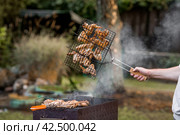 Barbecue at the cottage. May holidays. Barbecue in nature. The process of cooking meat on the grill, close-up. Shish kebab of a bird in a metal grill. Chicken wings and legs. Стоковое фото, фотограф Photojuli / Фотобанк Лори
