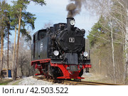 Паровоз Orenstein & Koppel №9, станция Екатеринбург-Детский, Екатеринбургская ДЖД (2017 год). Редакционное фото, фотограф Алексей Иванов / Фотобанк Лори