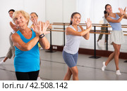 Group of active women practicing energetic dance in a studio. Стоковое фото, фотограф Яков Филимонов / Фотобанк Лори