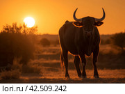 Spanish toro bull on sunset view. Generate ai. Стоковое AI-изображение, AI-художник Иван Рябоконь / Фотобанк Лори