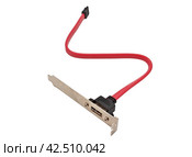 Кабель для подсоединения жесткого диска к компьютеру. Hard disk drive power cables. Стоковое фото, фотограф Татьяна Д / Фотобанк Лори