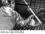 Kathmandu, Nepal - November 22, 2015: Old woman prepares incense butter candles, Boudhanath stupa in Kathmandu. Редакционное фото, фотограф VittoriaChe / Фотобанк Лори
