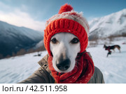 White Jack Russell selfie. Generate ai. Стоковое AI-изображение, AI-художник Иван Рябоконь / Фотобанк Лори