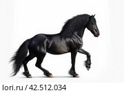 Prancing black regal stallion on white background. Generate ai. Стоковое AI-изображение, AI-художник Иван Рябоконь / Фотобанк Лори