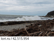 Черное море, шторм у берега.        Краснодарский край,    Туапсинский район, Михайловская бухта. (2023 год). Стоковое фото, фотограф Александр Циликин / Фотобанк Лори