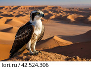 Bird is an osprey on sand san close up. Portrait of osprey (Pandion haliaetus) sitting on rock ridge in Sahara desert Observation animal world. Really adventure in Red sea, coast Africa. Стоковое AI-изображение, AI-художник Aleksandr Golubev / Фотобанк Лори