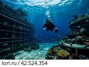 Scuba divers explore sunken ships at the bottom of the sea. Marine life underwater in blue ocean. Observation animal world. Scuba diving adventure in Red sea, coast Africa. Стоковое AI-изображение, AI-художник Aleksandr Golubev / Фотобанк Лори