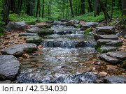 Small babbling brook flowing through the forest over smooth rocks with green moss. Стоковое AI-изображение, AI-художник Юрий Поздников / Фотобанк Лори