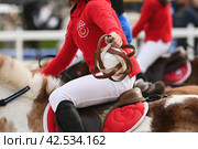 Children on horses playing horseball. Стоковое фото, фотограф Irina Kuchugurina/Gaudy / Фотобанк Лори