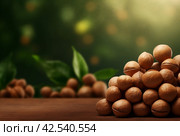 Crunchy Macadamia nuts. Generate Ai. Стоковое AI-изображение, AI-художник Иван Рябоконь / Фотобанк Лори