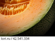 Colorful Melon half closeup. Generate Ai. Стоковое AI-изображение, AI-художник Иван Рябоконь / Фотобанк Лори