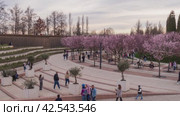 Парк ФК «Краснодар» (Парк Галицкого). Таймлапс (2024 год). Редакционное видео, видеограф Алексей Букреев / Фотобанк Лори