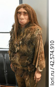 Wax figure of a Neanderthal with long hair in skins. Стоковое фото, фотограф Irina Kuchugurina/Gaudy / Фотобанк Лори