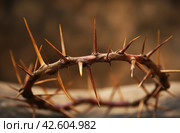 Crown of thorns on a blurred background. Стоковое AI-изображение, AI-художник Данил Руденко / Фотобанк Лори