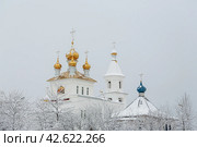 Вид на крыши и купола православной церкви. Снег на ветвях деревьев. Собор Сошествия Святого Духа на апостолов, город Магадан, Магаданская область, Дальний Восток России. Стоковое фото, фотограф Андрей Степанов / Фотобанк Лори