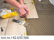 The process of laying floor tiles on the SVP Base, Tile Leveling System. Стоковое фото, фотограф Evgenii Predibailo / Фотобанк Лори