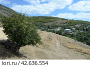 Горное село Лучистое. Крым (2021 год). Редакционное фото, фотограф Free Wind / Фотобанк Лори