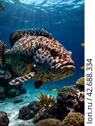 Malabar grouper swimming in tropical underwaters. Grouper in underwater world. Observation of animal world. Scuba diving adventure in South Africa coast of RSA. Стоковое AI-изображение, AI-художник Aleksandr Golubev / Фотобанк Лори