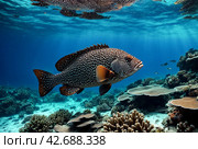 Malabar grouper swimming in tropical underwaters. Grouper in underwater world. Observation of animal world. Scuba diving adventure in South Africa coast of RSA. Стоковое AI-изображение, AI-художник Aleksandr Golubev / Фотобанк Лори