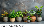 Row of Potted Plants in a Garden Setting. Стоковое AI-изображение, AI-художник Юлия Гапеенко / Фотобанк Лори
