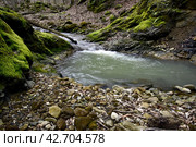 Ручей Коваленко, Адыгея. Стоковое фото, фотограф Оглоблин Андрей Николаевич / Фотобанк Лори