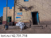 Трущобы в Африке, Египет (2023 год). Стоковое фото, фотограф Наталья Филатова / Фотобанк Лори
