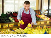 Male seller of vegetable department of store replenishing showcase with apple, put ones on showcase. Стоковое фото, фотограф Яков Филимонов / Фотобанк Лори