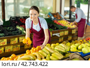 Woman selelr of vegetable department store is replenishing showcase with oranges. Стоковое фото, фотограф Яков Филимонов / Фотобанк Лори