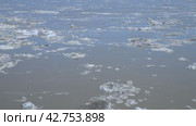 Spring drifting of ice on the river. Floating gray ice floes. Russia. Altai Territory. Ob River. 4K video. Стоковое видео, видеограф Дмитрий Кобзев / Фотобанк Лори