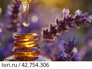 Lavender essential oil pouring from dropped into an amber bottle against a lavender flowers. Dropper filled herbal oil is pouring against blooming field, close-up. Health care, relaxation. Spa massage. Стоковое AI-изображение, AI-художник Марина Демидюк / Фотобанк Лори