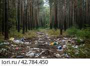 Littered forest trail. Стоковое AI-изображение, AI-художник Данил Руденко / Фотобанк Лори