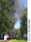 Узкоколейный Паровоз Orenstein & Koppel №9, Екатеринбургская ДЖД (2017 год). Редакционное фото, фотограф Алексей Иванов / Фотобанк Лори