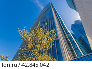 A contemporary glass-clad skyscraper reaches into the clear blue sky, with budding spring trees in the foreground. The perspective captures the contrast between nature and urban architecture, accentuating the height of the building amid surrounding structures. (2020 год). Стоковое фото, фотограф Алексей Климкин / Фотобанк Лори