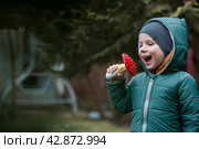 A child and a fly agaric. The boy with the fly agaric. A dangerous poisonous mushroom in the hands of a child. Mushroom poisoning, microdosing, eating herbal medicine. Стоковое фото, фотограф Photojuli / Фотобанк Лори