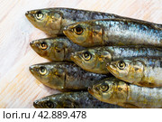 Closeup of salted sardines. Стоковое фото, фотограф Яков Филимонов / Фотобанк Лори