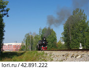 Узкоколейный паровоз ВП-1425, станция Екатеринбург-Детский, Екатеринбургская ДЖД (2017 год). Редакционное фото, фотограф Алексей Иванов / Фотобанк Лори