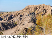 Кондуки, Тульская область, Романцевские горы, Заброшенные Ушаковские каменоломни. Грязевая эрозия почвы выглядит как горы. Участок зарос молодыми березками. Красивый природный ландшафт (2020 год). Стоковое фото, фотограф Pukhov K / Фотобанк Лори