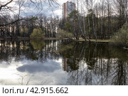 Голубинский пруд. Район Ясенево. Город Москва. Россия (2024 год). Стоковое фото, фотограф Андрей Иванов / Фотобанк Лори