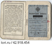 Паспортная книжка 1913 год. Российская Империя. Стоковое фото, фотограф Retro / Фотобанк Лори